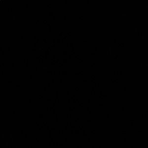 Meet your Posher, Dominique